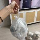 [수원/망포] 담백한 백순대가 매력적인 ‘본가신림동백순대맛집’ 내돈내산 배달 후기