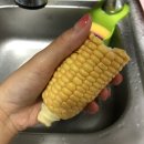 창내농장 | 품종개량 식품 재배농가 방문 후기 - 초당옥수수 재배농가 “흙내음 농장”, “마루농장”