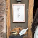 도화지 | 갈마동 도화지 n번째 방문후기