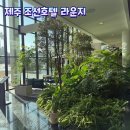 카페호텔 | 제주 조선호텔 라운지 카페 후기