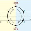 코스톨라니의 달걀모형 이미지