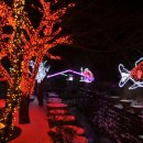 배다골길 이미지