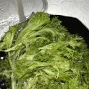 광채농장 이미지