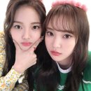 조아(ZOA) 이미지