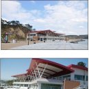 일산수산물판매센터 Daum카페