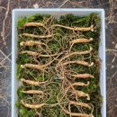 노두농장 이미지