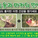 시온농장 이미지