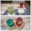 [2024. 상반기 퇴근학습길] 할 수 있다 카페 창업 | [퇴근학습길] 할수있다! 카페 창업 종강후기