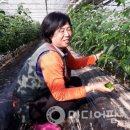 정명농장 이미지