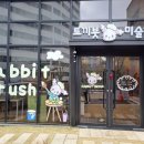 엘림미술학원 이미지