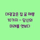 대궐집 이미지