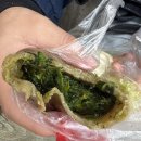 칭다오 로컬 만두 맛집 추천 산둥따빠오 중국 만둣국 훈툰 찐 로컬 후기