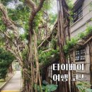 구송산 | 타이베이 여행 코스 자유여행 101타워 키키 송산 문화창의공원 용산사