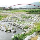 하천(대전천2) 이미지