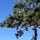 소문난펜션민박 이미지