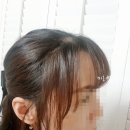헤어미리별 | 제이숲 힐링픽서 앞머리고정하기 딱이네요