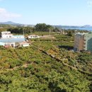 윈드힐펜션 이미지