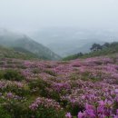 약수마을여관 이미지