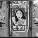 국빈관관광나이트 이미지