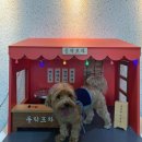 동막여관 이미지