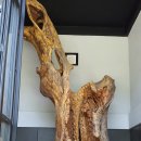 장생농장 이미지