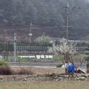 잠곡 2리 이미지