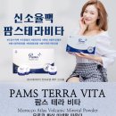 팜스테라 이미지