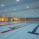 로키 스위밍 클럽 이미지