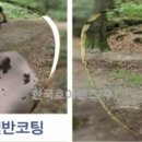 아이젠트리 월배점 이미지