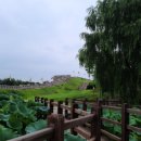 토성민속마을 | 청도 가볼만한곳 베스트10, 추천 여행 명소