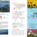 탐라메밀