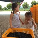 월지농장 이미지