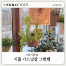 주흥3길 1 | 서울식물샵 추천: 예쁜 화분 많은 서울플랜트샵 그린썸