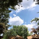 고양1호농장 이미지