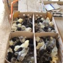 청계유통 이미지