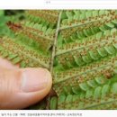 민들레샘물 지역아동센터 이미지