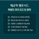 매교역팰루시드공인중개사사무소 이미지