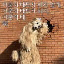 한밭목장 | [5월 다섯번째] 대전당일치기+성심당 그리고 일상