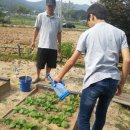 오방농장 이미지