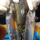 1대물호 이미지