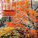 2014년 11월09일(일)요일 전라북도 순창 강천산(구름다리) 이미지