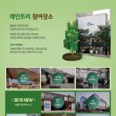 네파전주