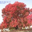 진해여자고등학교 이미지