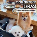 [대갓집 해물왕창칼국수] 대부도애견동반맛집 안산 식당🦑