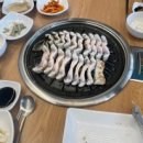 안성 힘찬 풍천 장어