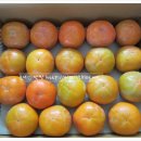 구산농장 이미지