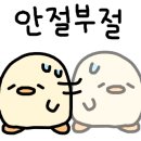 우리건강