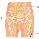 더밸런스짐 이미지