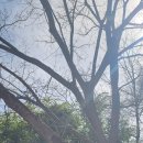 영신당약국 이미지