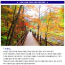 ♣10/21(토)오대산 비로봉 가을과 선재길 단풍 트레킹 이미지